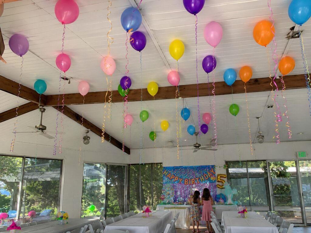 Floating Balloon Ceiling