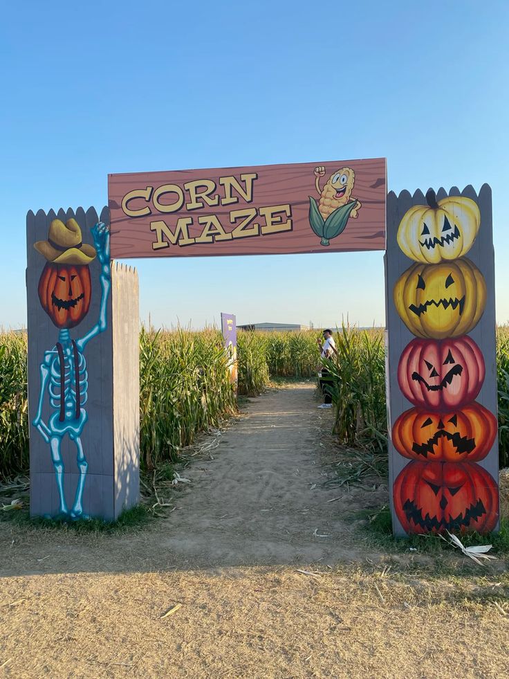 Corn Maze Adventure Backdrop