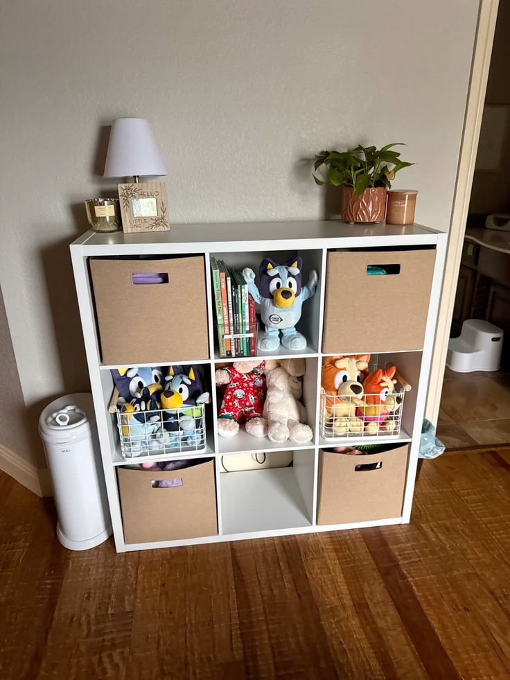 Low Shelving and Accessible Storage