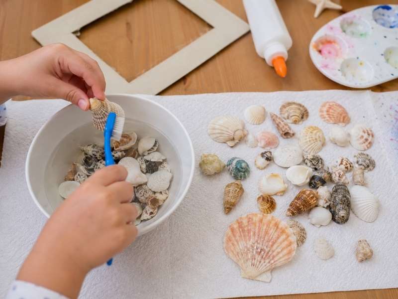 Prepare the Seashells First Before the Seashell Picture Frame Craft