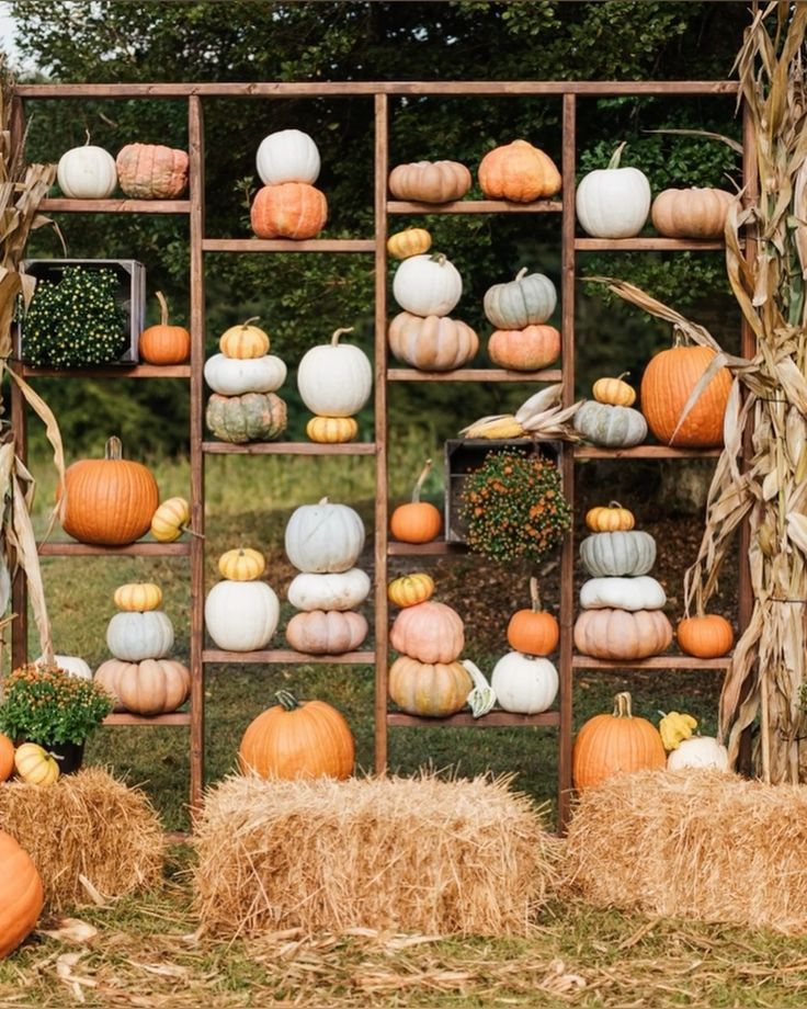 20. Pumpkin Spice Café Backdrop