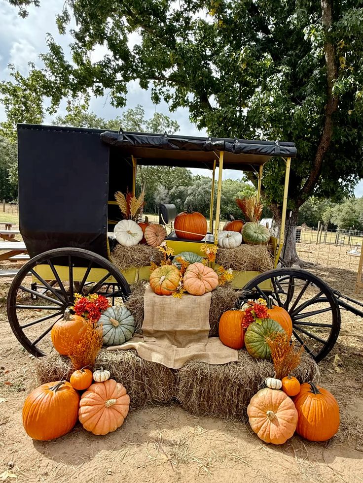  Pumpkin Wagon Display