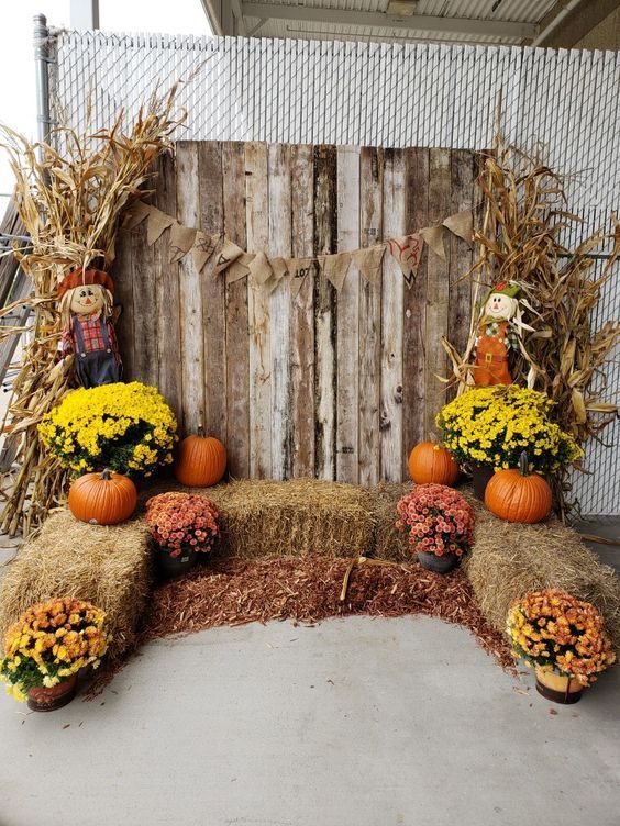 Rustic Pumpkin Patch Backdrop