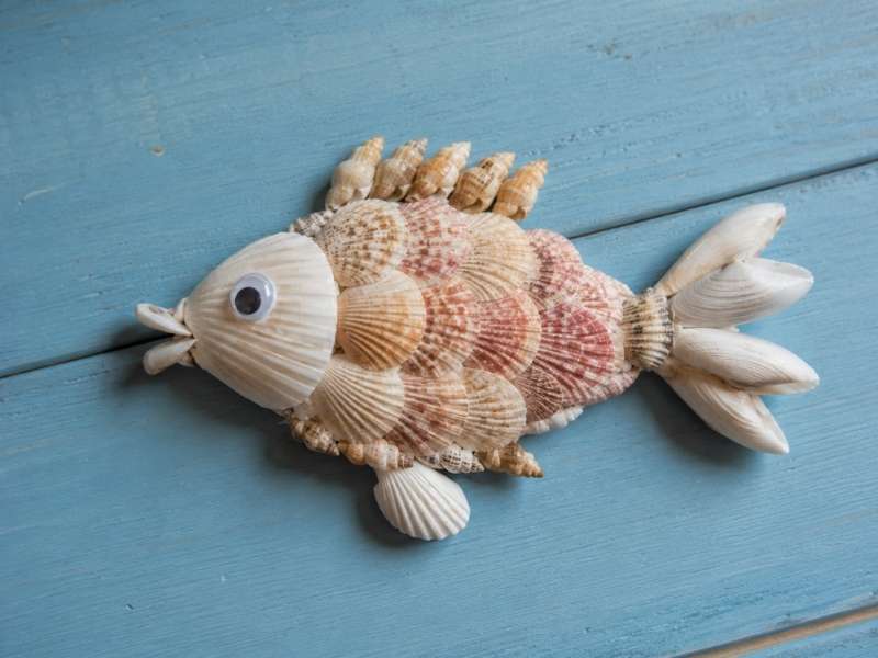 Seashell Fish Craft