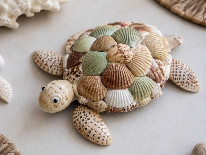 Seashell Turtle Craft