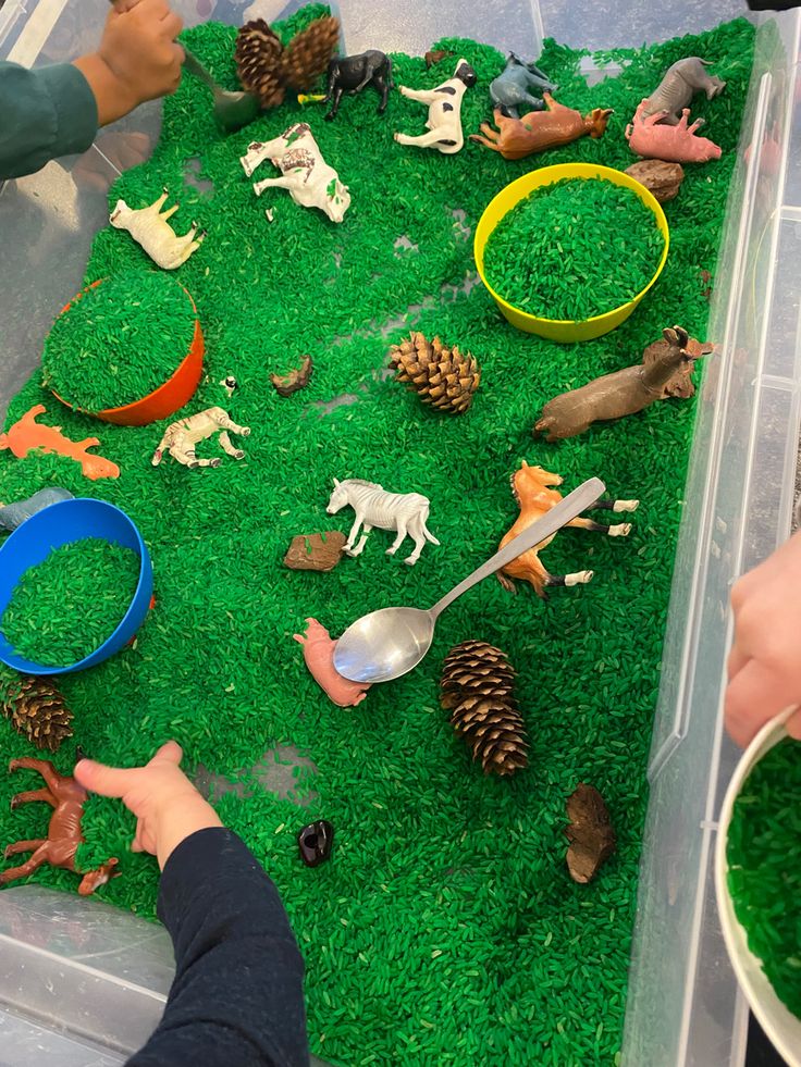 Sensory bin