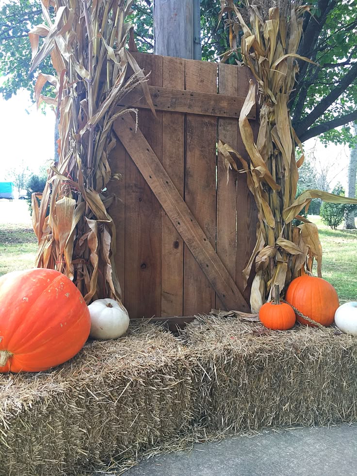 Vintage Barn Door Backdrop