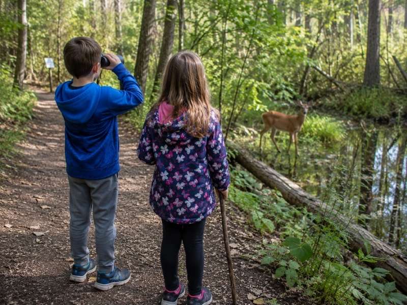 Visit a Local Nature Trail and Look for Wildlife