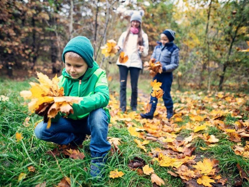  Collect Autumn Nature Treasures