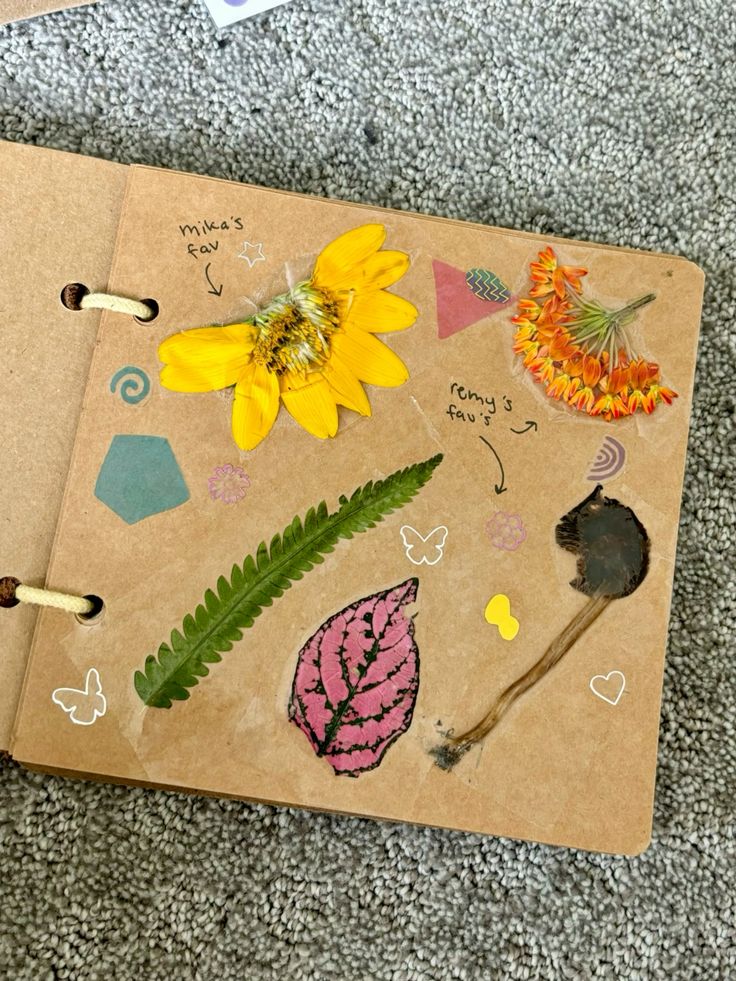Create a Nature Adventure Envelope