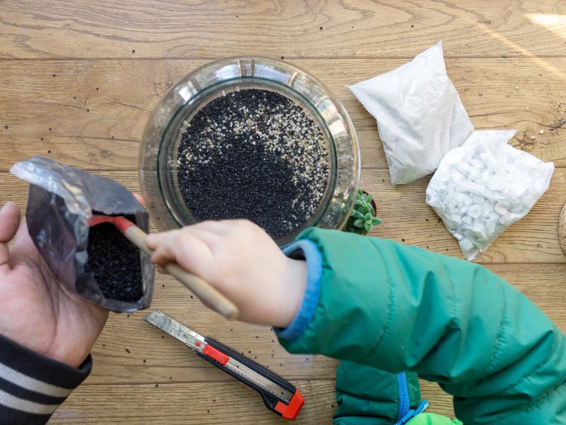Create a Mini Nature Collection